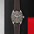 TUDOR Black Bay 58 Watch - M79010SG-0001 at William Barthman