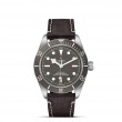 TUDOR Black Bay 58 Watch - M79010SG-0001 at William Barthman