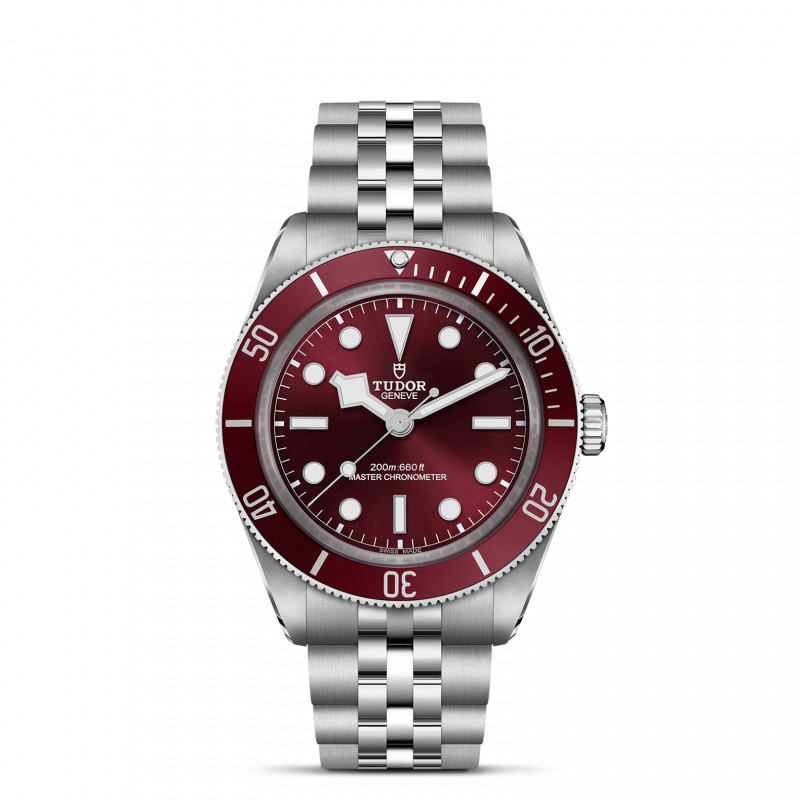 TUDOR Black Bay 58 Watch - M7939A1A0RU-0001 at William Barthman